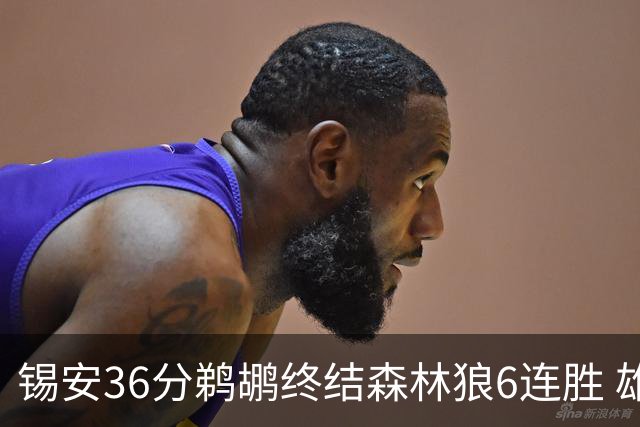 锡安36分鹈鹕终结森林狼6连胜 雄鹿险胜公牛